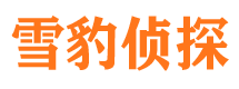 炎陵捉小三公司